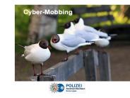 Cybermobbing