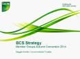 BCS Strategy Member Groups Autumn Convention 2014 Maggie Kneller, Council-elected Trustee PowerPoint PPT Presentation