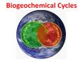 Biogeochemical Cycles PowerPoint PPT Presentation