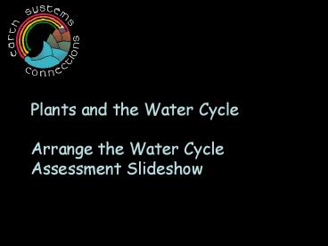 Plants and the Water Cycle