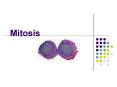 Mitosis PowerPoint PPT Presentation