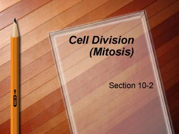 Cell Division (Mitosis)