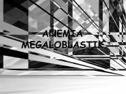ANEMIA MEGALOBLASTIK