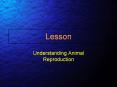 Understanding Animal Reproduction PowerPoint PPT Presentation