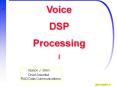 Voice DSP Processing I PowerPoint PPT Presentation