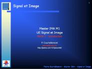 Master IMA M1
