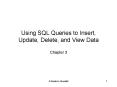 Using SQL Queries to Insert, Update, Delete, and View Data PowerPoint PPT Presentation