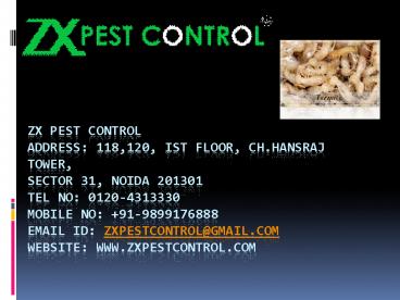 Pest Control Noida-offered by ZX Pest Control