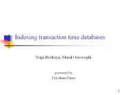 Indexing transaction time databases