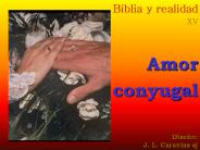 Biblia%20y%20realidad