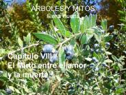 ARBOLES Y MITOS Elena Huerta