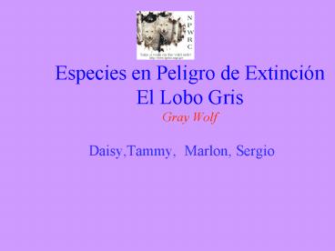 Especies en Peligro de Extinci