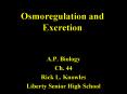 Osmoregulation and Excretion PowerPoint PPT Presentation
