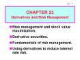 Risk management and stock value maximization. PowerPoint PPT Presentation