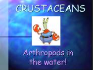 CRUSTACEANS