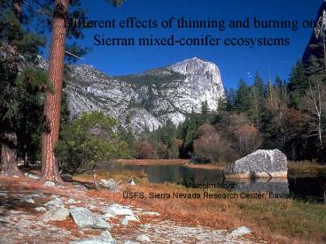 Different effects of thinning and burning on