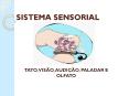 SISTEMA SENSORIAL PowerPoint PPT Presentation