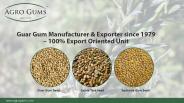 Most Important to Know about Guar Gum Cultivation