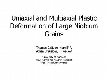 Uniaxial and Multiaxial Plastic Deformation of Large Niobium Grains