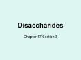 Disaccharides PowerPoint PPT Presentation