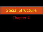 Social Structure