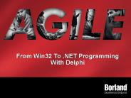 From Win32 To .NET Programming With Delphi