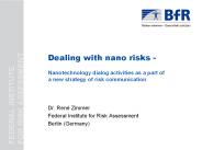 Dealing with nano risks -