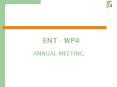 ENT - WP4 PowerPoint PPT Presentation