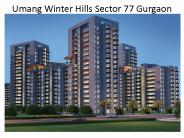 Umang Winter Hills Sector 77 Gurgaon