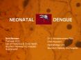 NEONATAL        DENGUE PowerPoint PPT Presentation