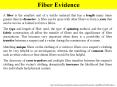 Fiber Evidence PowerPoint PPT Presentation