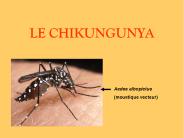 LE CHIKUNGUNYA