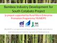Bamboo%20Industry%20Development%20for%20South%20Cotabato%20Project PowerPoint PPT Presentation