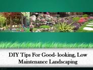 Diy - Tips For Landscaping