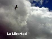 La Libertad
