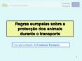 TRANSPORTS des ANIMAUX PowerPoint PPT Presentation