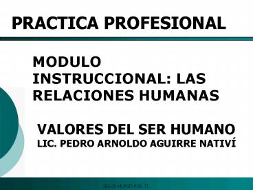 PRACTICA PROFESIONAL