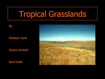 Tropical Grasslands