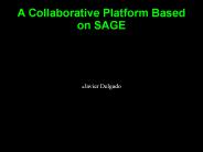 A Collaborative Platform Based on SAGE