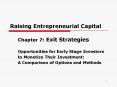 Raising Entrepreneurial Capital PowerPoint PPT Presentation