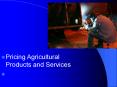 Pricing Agricultural Products and Services PowerPoint PPT Presentation