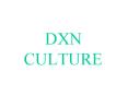 DXN         CULTURE PowerPoint PPT Presentation