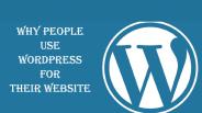Increasing Popularity of WordPress For Websites