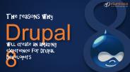 Drupal Developers