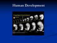 Human%20Development