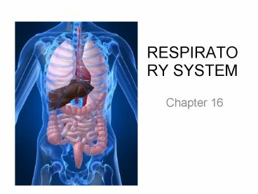 RESPIRATORY SYSTEM