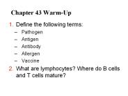 Chapter 43 Warm-Up