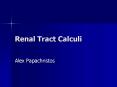 Renal Tract Calculi PowerPoint PPT Presentation