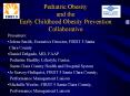 Pediatric%20Obesity%20and%20the%20Early%20Childhood%20Obesity%20Prevention%20Collaborative PowerPoint PPT Presentation