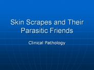 Skin Scrapes and Their Parasitic Friends